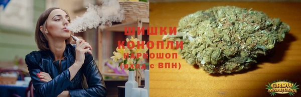 ГАЛЛЮЦИНОГЕННЫЕ ГРИБЫ Баксан