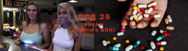 ГАЛЛЮЦИНОГЕННЫЕ ГРИБЫ Баксан