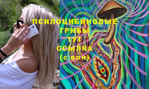 ГАЛЛЮЦИНОГЕННЫЕ ГРИБЫ Баксан
