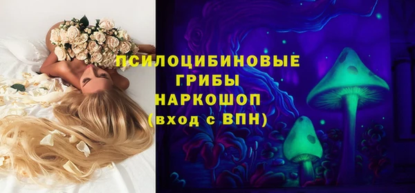 ГАЛЛЮЦИНОГЕННЫЕ ГРИБЫ Баксан