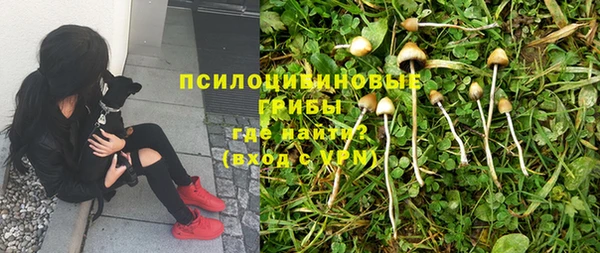 кокс Балабаново