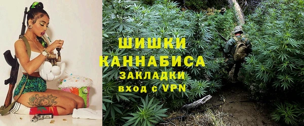 молекула духа Балахна