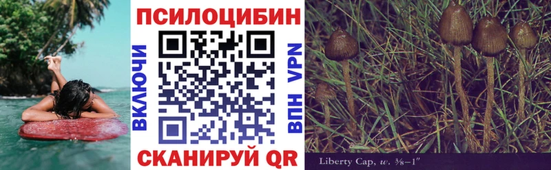 kraken вход  Верхняя Салда  Псилоцибиновые грибы Magic Shrooms 